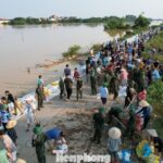 1760031518-tp-ji-0959-width1390height782