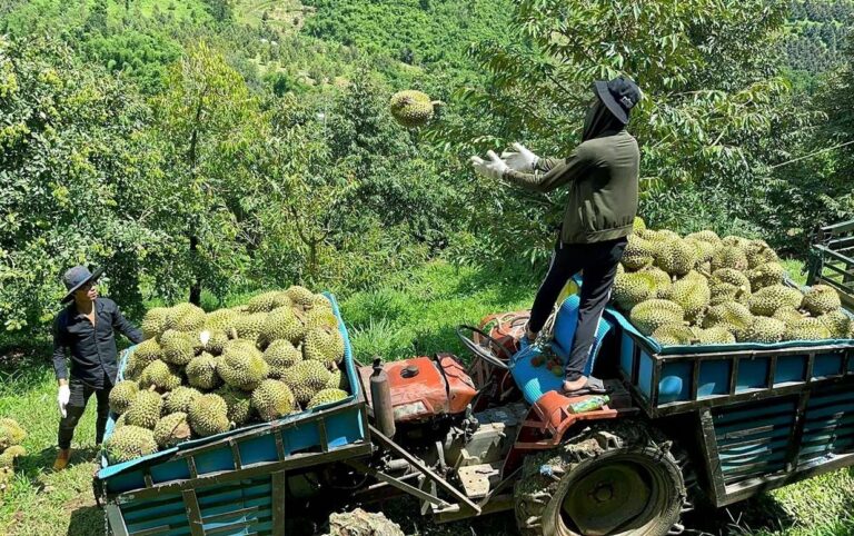 98-1765506047-khanh-hoa-1