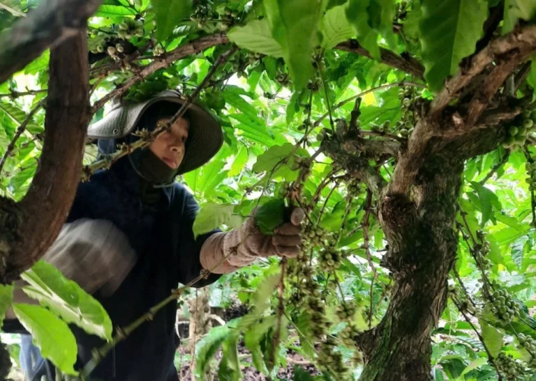 z7349185743406-9926fc43fe893db-3705-7299-1766310397